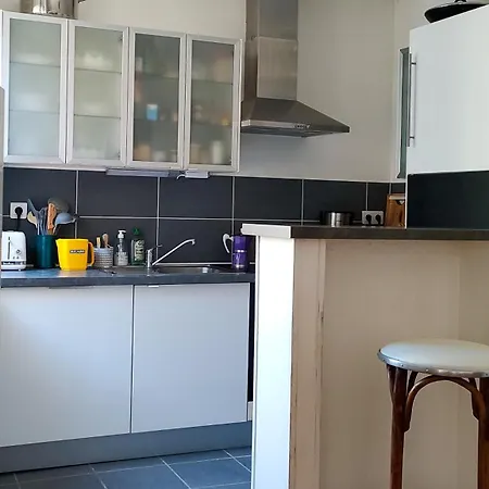 Les Vitraux De Saint Remi *