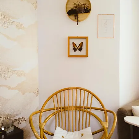 Les Vitraux De Saint Remi *