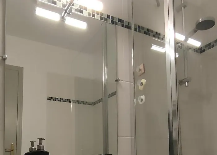 Les Vitraux De Saint Remi *